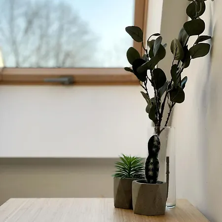Feriehus Sepne